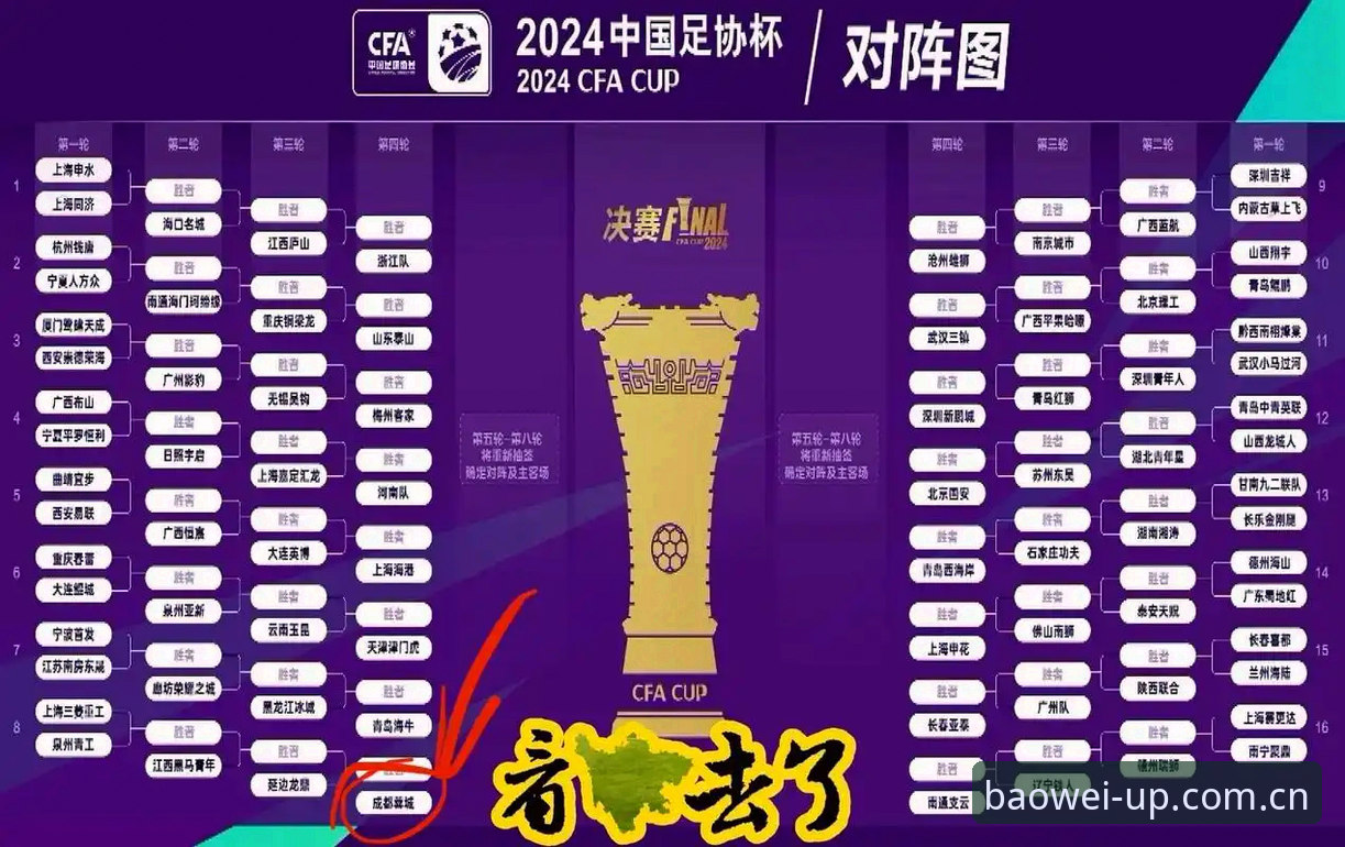 宝威指定版本 中国足协第三批禁足名单全面解析:行业净化与体育平台观赛体验深度观察